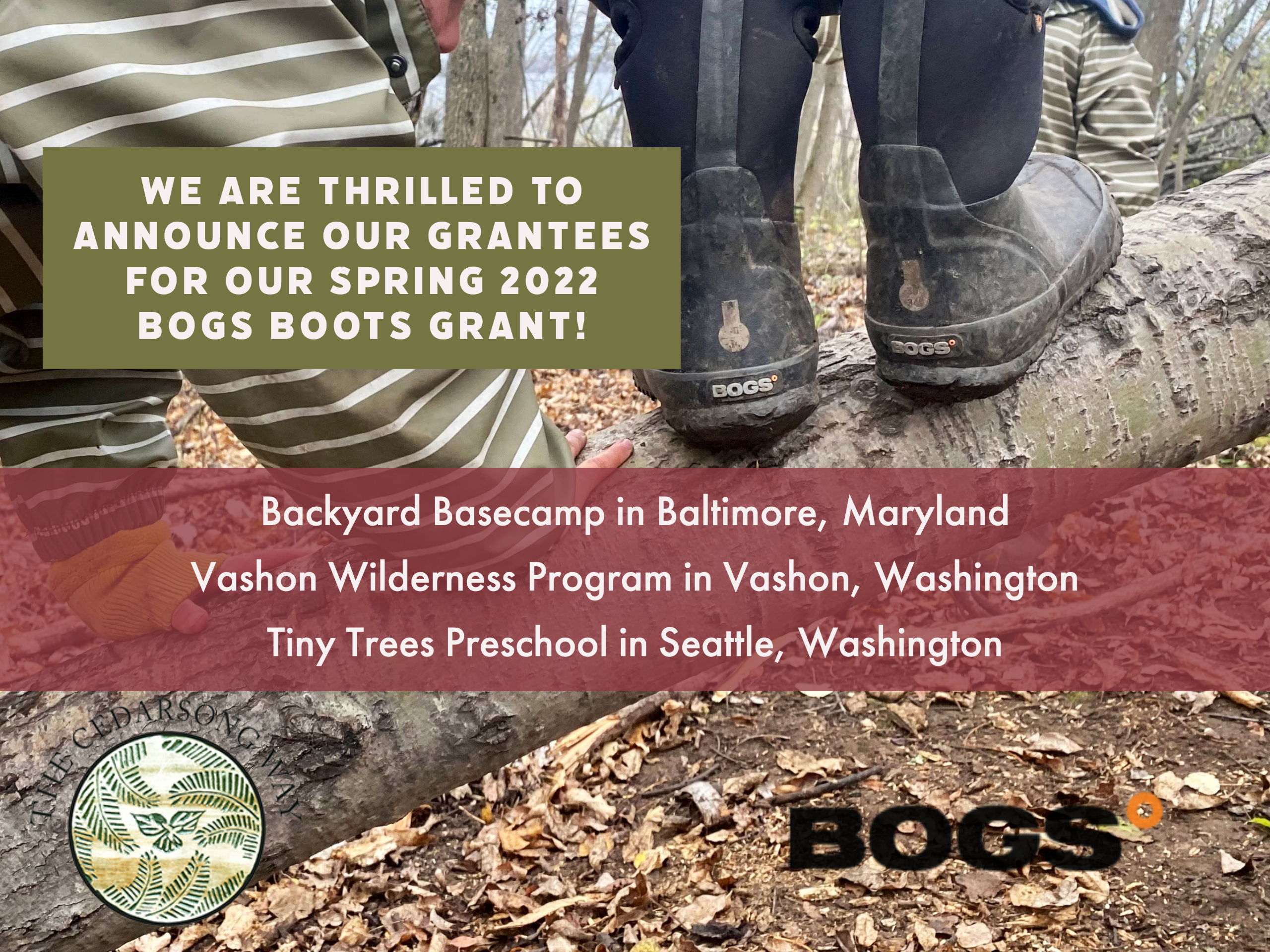 bogs grantees
